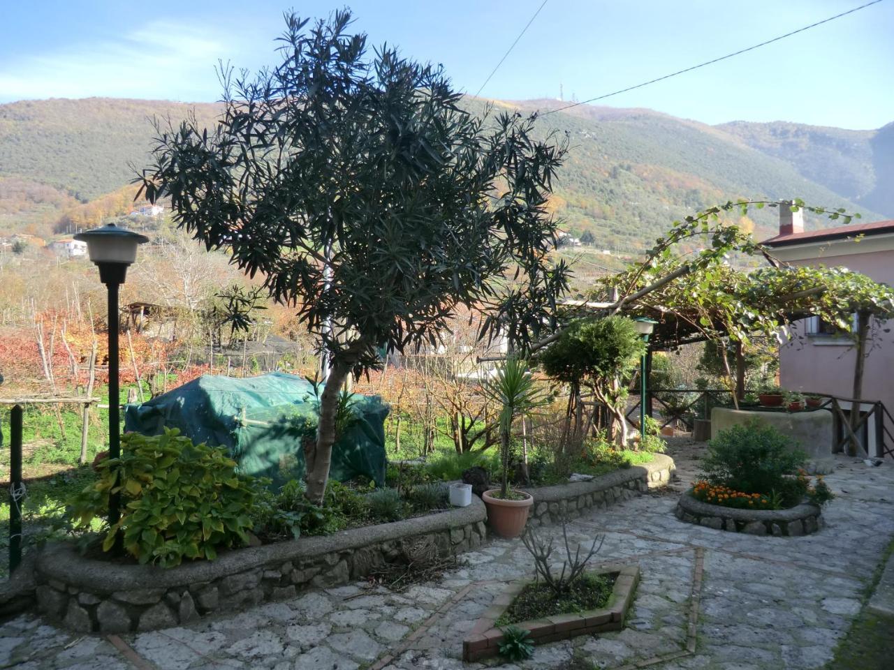 Agriturismo Mare E Monti Tramonti Exterior photo